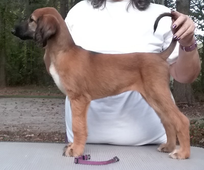 Purple Girl 8 Weeks.jpg - 1565 K